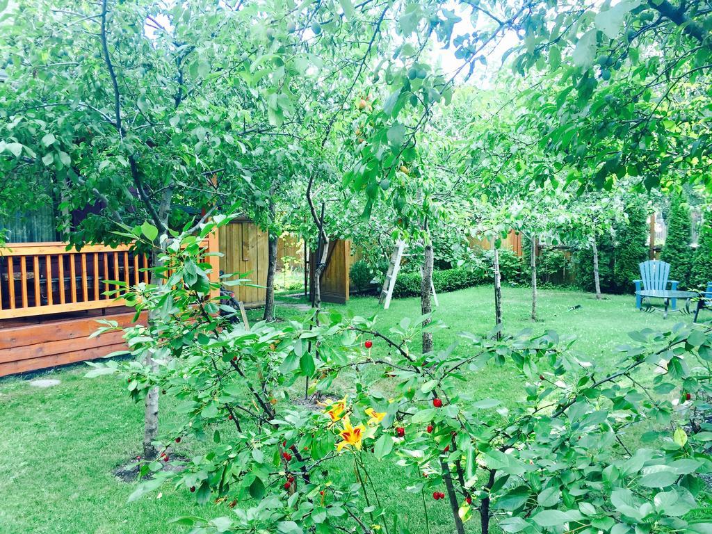 Luna Bed & Breakfast Grand Forks Esterno foto