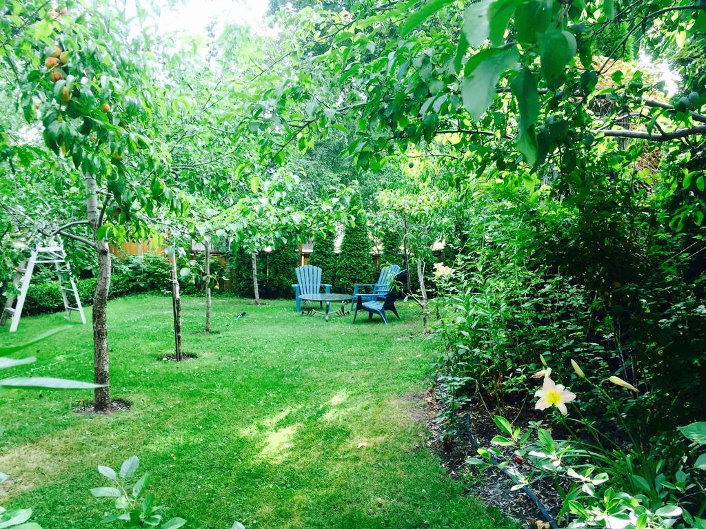 Luna Bed & Breakfast Grand Forks Esterno foto