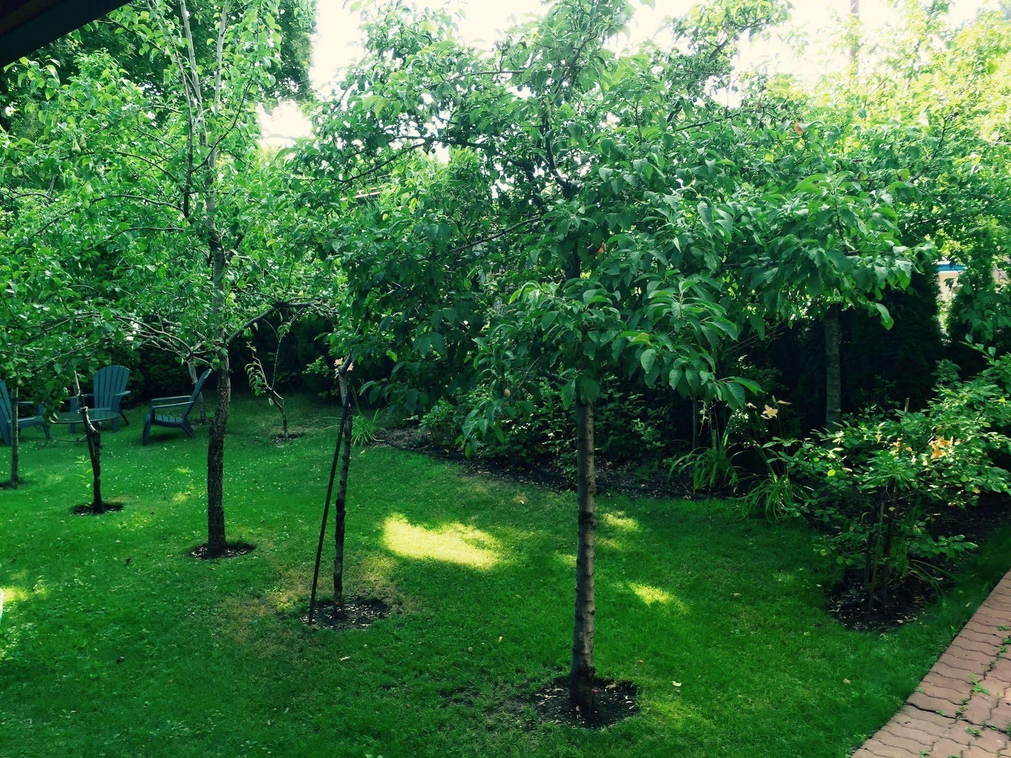 Luna Bed & Breakfast Grand Forks Esterno foto